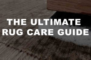 Rug-care-Guide-Resource-Image